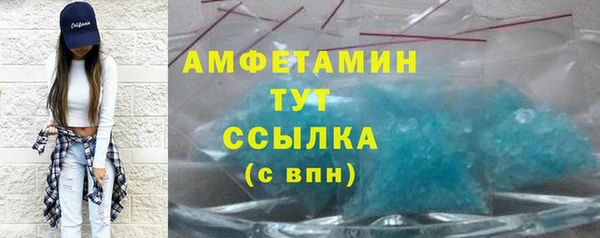 индика Богданович