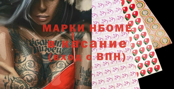 крисы Бородино