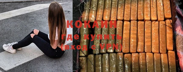 спиды Тайга