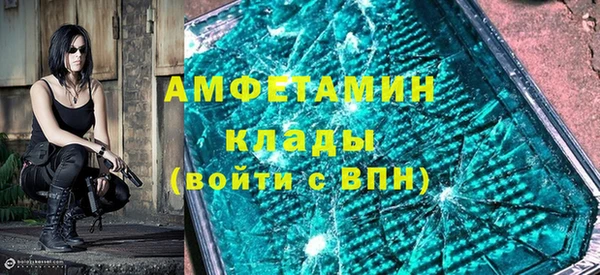 индика Богданович